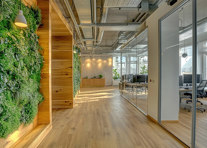 Services de remise en état : ponçage et vitrification des parquets